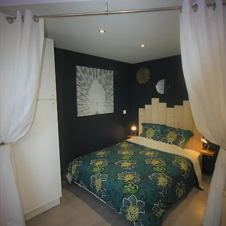 L'appart - Chez Gally A Angers 公寓 莱蓬德塞