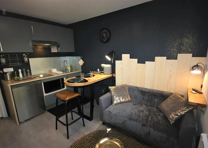 L'appart - Chez Gally A Angers Apartment